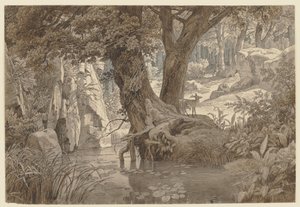  door Johann Wilhelm Schirmer