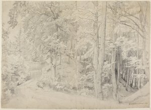 In het beukenbos door Johann Wilhelm Schirmer