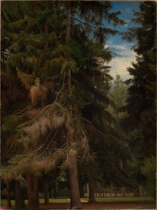 door Johann Wilhelm Schirmer