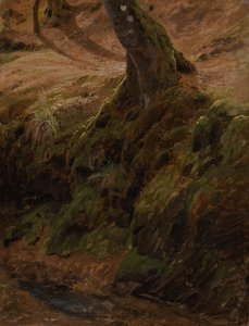  door Johann Wilhelm Schirmer