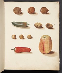 Studie van appel, noten en paprika