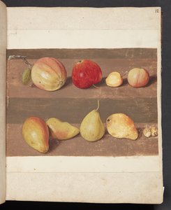 Studie van appels en peren door Johanna Fosie