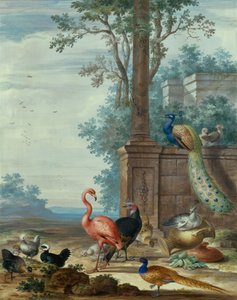 Een Italiaans Landschap met een Pauw, Fazant, Flamingo en andere Vogels