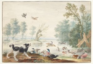 Een hond en eenden bij het meer