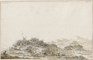 Duinlandschap