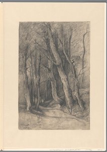 Boslandschap bij Delden
