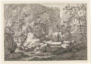Ravijn met rotsblokken en bomen door Johannes Glauber