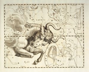 Stier, sterrenbeeld Stier, gravure uit hemels atlas Firmamentum Sobiescianum sive Uronographia, door Johann Hevelius (1611-1687), Gdansk