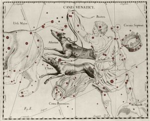 Het sterrenbeeld Canes Venatici, Jachthonden. Plaat getekend uit 