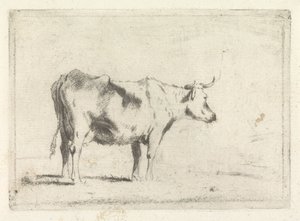 Koe, naar rechts door Johannes Janson (possibly)