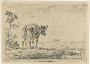Koe in weiland door Johannes Janson