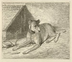 Hond aan een ketting bij een hondenhok