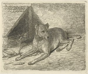 Hond aan een ketting bij een hondenhok