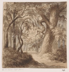Boslandschap door Johannes Tavenraat