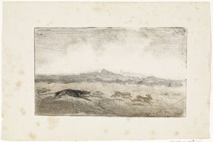 Hazenjacht door Johannes Tavenraat