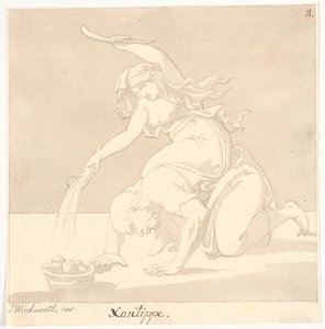 Xantippe