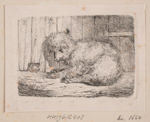 Een langharige hond