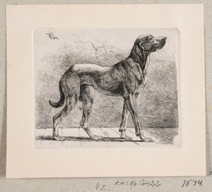 Een staande hond