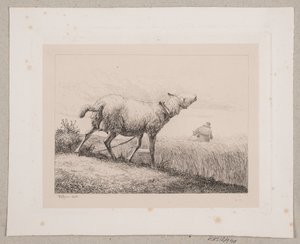 Een blèrend schaap door Johannes Wilhelm Zillen