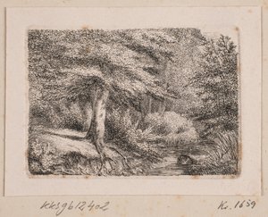 Bospartij door Johannes Wilhelm Zillen