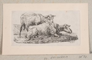 Twee schapen door Johannes Wilhelm Zillen