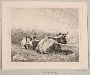Twee Rustende Koeien door Johannes Wilhelm Zillen