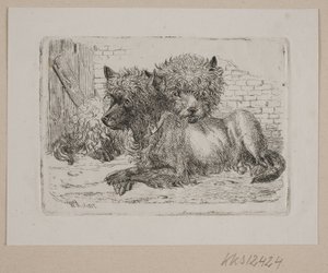 Twee liggende honden