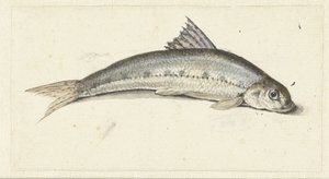 Gondel door Johannes le Francq van Berkhey