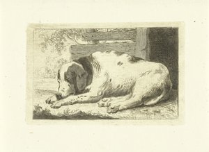 Slapende hond door Johannes van Cuylenburgh