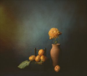 Stilleven met herfstkaki’s