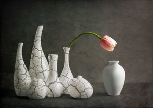 Roze tulpenvazen met barsten door John-Mei Zhong