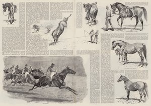 De carrière van een renpaard (gravure)