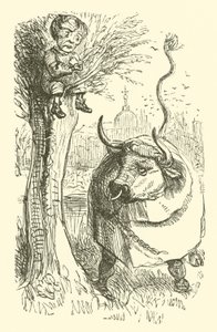 Stier en jongen (gravure) door John (after) Leech