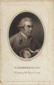 Sir Joseph Banks, Engelse natuuronderzoeker, botanicus en voorzitter van de Royal Society door John (after) Russell