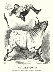Punch cartoon: Bos Americanus; of, Yankee Beef en Britse Slager - verwachte voordelen voor consumenten van de import van Amerikaans vlees (gravure)
