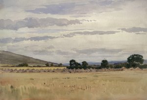 Landschap met Korenveld door John Absolon