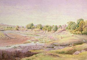 Chappara