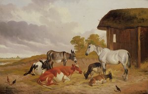 Boerderijgenoten