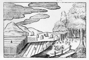 Vruchten van de aarde, 1658 door John Amos Comenius
