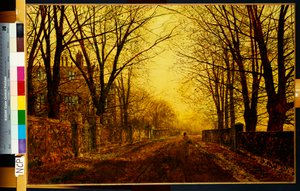 Nocturne in Goud