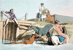 Baden van paarden, geëtst door de kunstenaar, gepubliceerd 1803 door John Augustus Atkinson