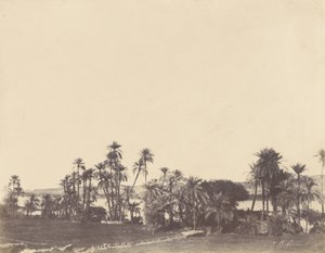 [Oevers van de Nijl, Kalabsché]. door John Beasley Greene