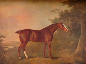 Een donkere kastanje, 1788