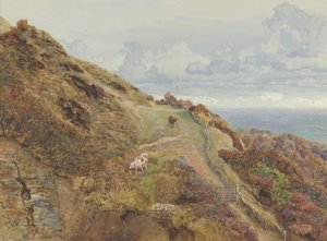 Bonchurch Downs, 1865