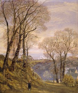 Februari op het eiland Wight, 1866 door John Brett