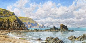 Bosbaai, Cardigan Bay, 1883