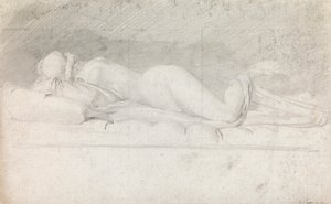 Studie van de hermafrodiet