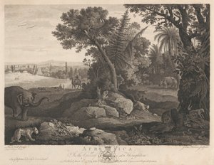 Afrika door John Browne