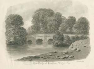 Trentham Hall - Brug