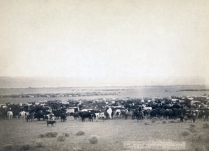 Cowboys die vee hoeden, South Dakota c.1890 door John C. H. Grabill